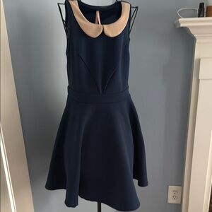 Navy Dress with Beige Peter Pan Collar